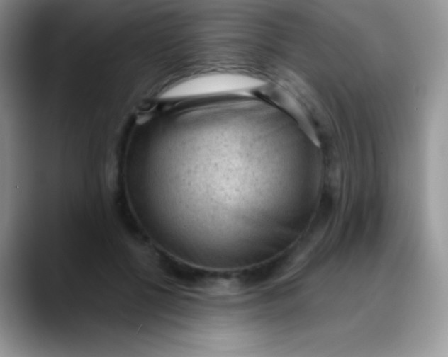 X0000089860552200707191922