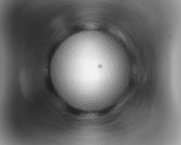 X0000089860553200707191922