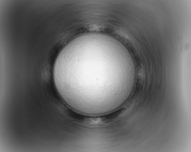 X0000089860554200707191922