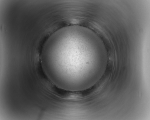 X0000089860555200707191922