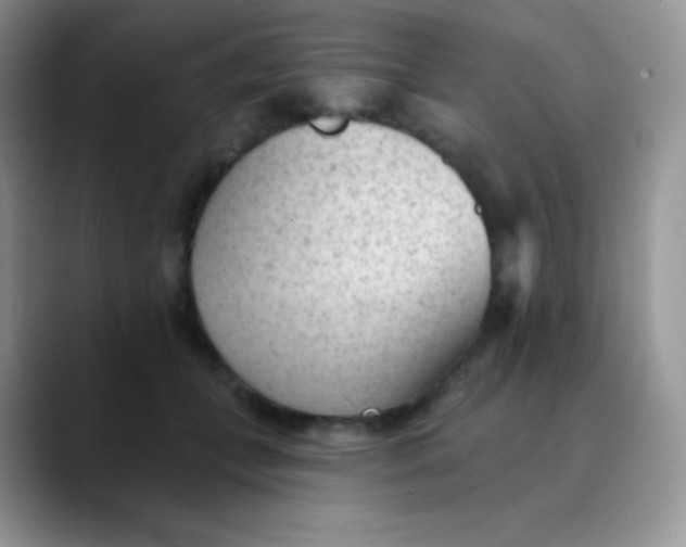 X0000089860559200707191922