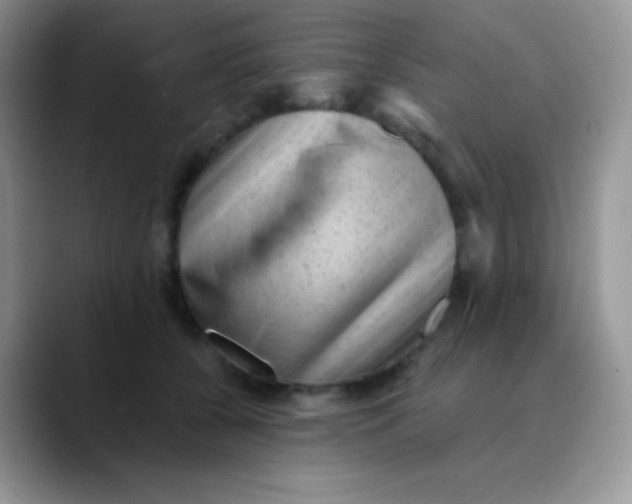 X0000089860560200707191922