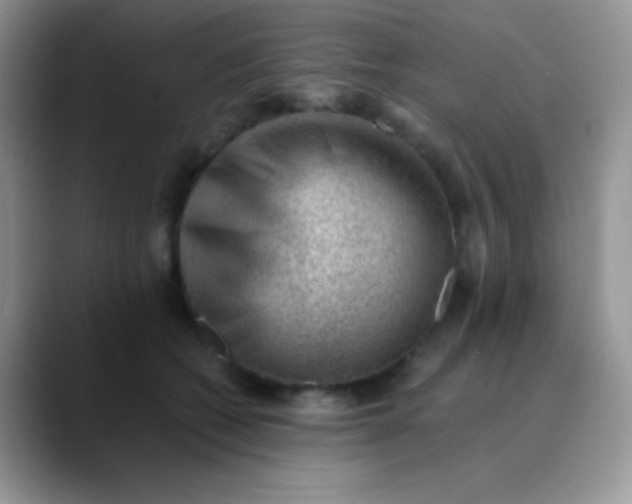 X0000089860562200707191922