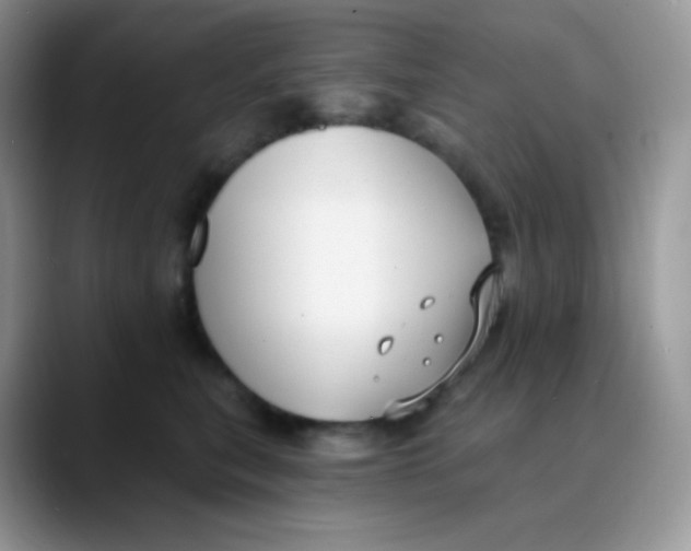 X0000089860567200707191922