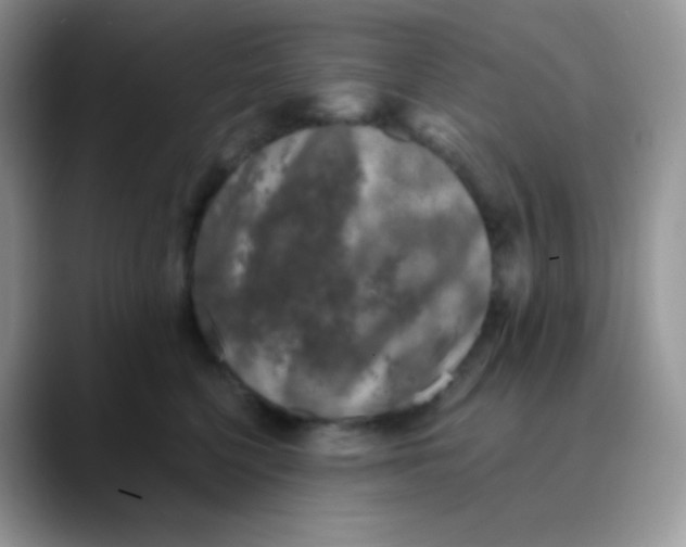 X0000089860568200707191922