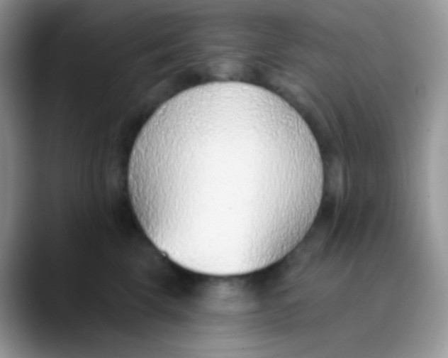 X0000089860569200707191922