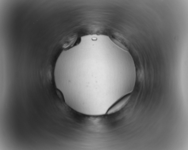 X0000089860570200707191922