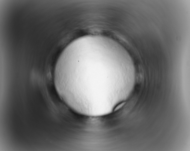 X0000089860573200707191922