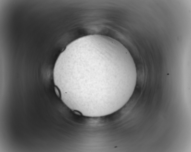 X0000089860574200707191922