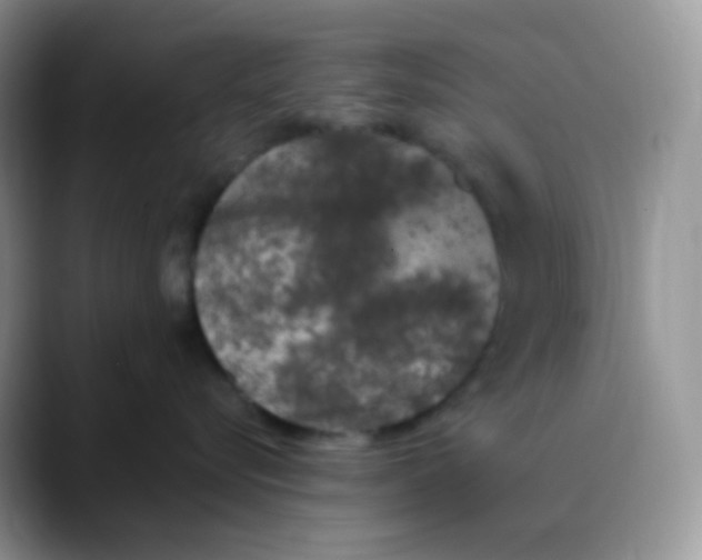 X0000089860576200707191922