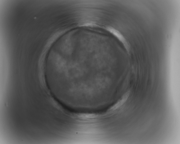 X0000089860577200707191922