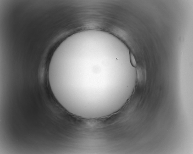 X0000089860579200707191922