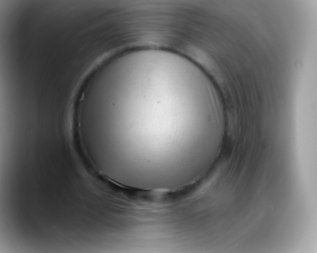 X0000089860580200707191922