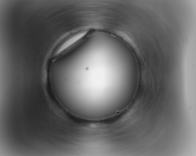 X0000089860584200707191922