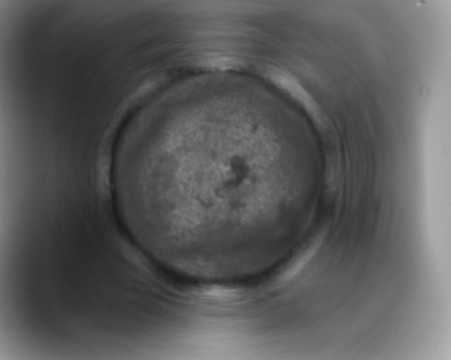 X0000089860585200707191922