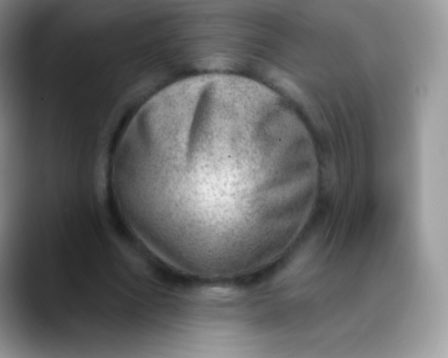 X0000089860586200707191922