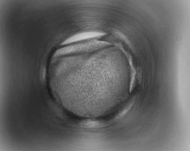 X0000089860589200707191922