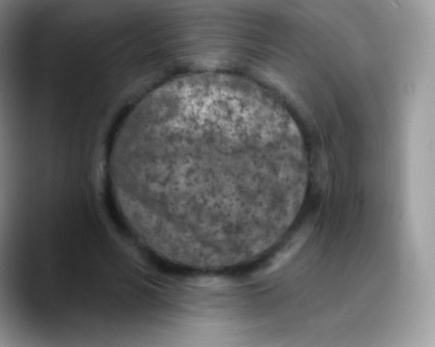 X0000089860590200707191922