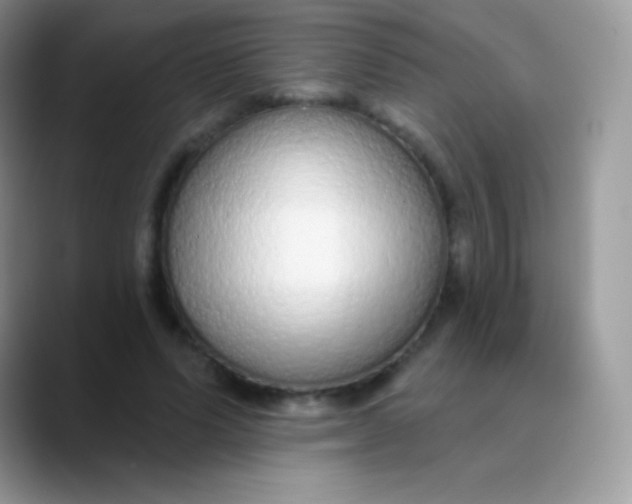 X0000089860591200707191922