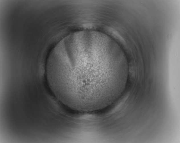 X0000089860593200707191922