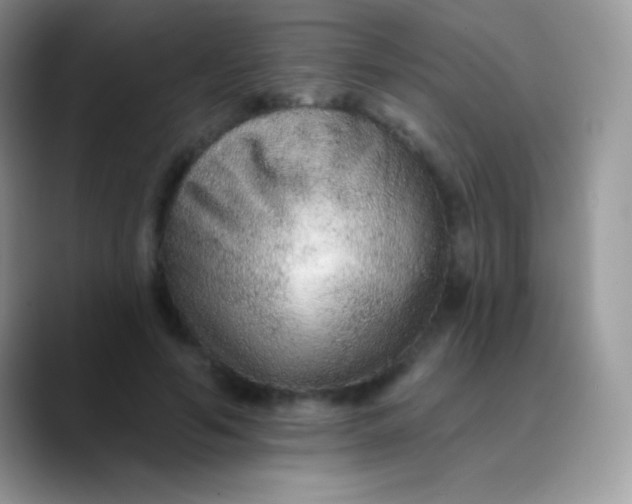 X0000089860594200707191922