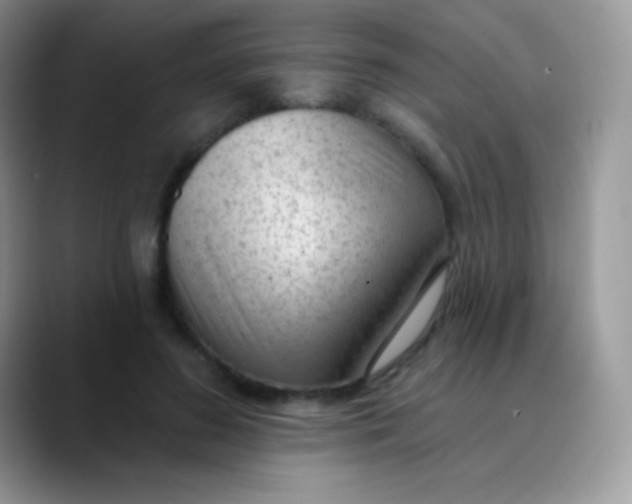 X0000089860596200707191922