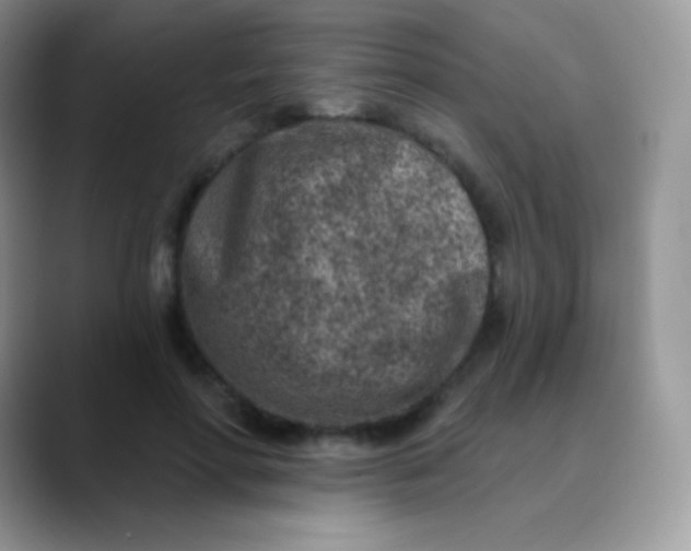 X0000089860598200707191922