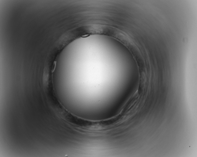 X0000089860600200707191922