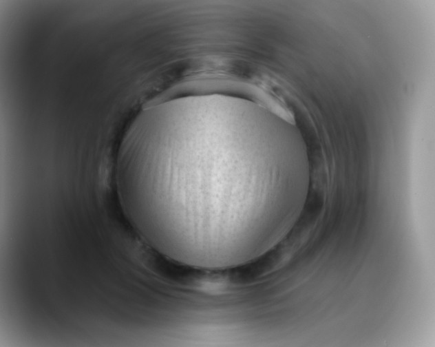 X0000089860604200707191922