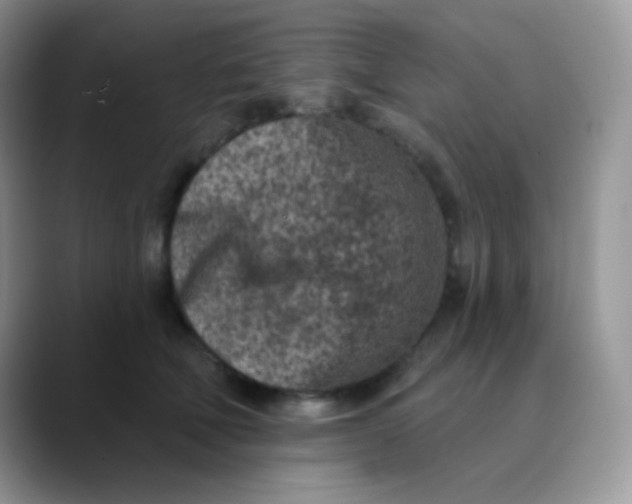 X0000089860610200707191921