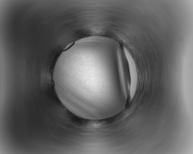 X0000089860613200707191921