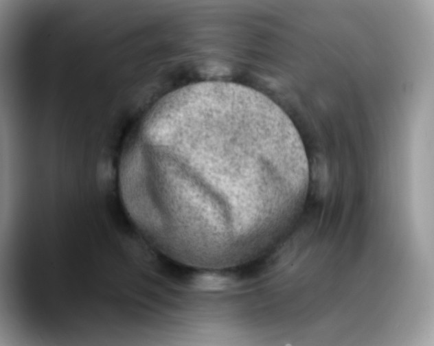 X0000089860614200707191921