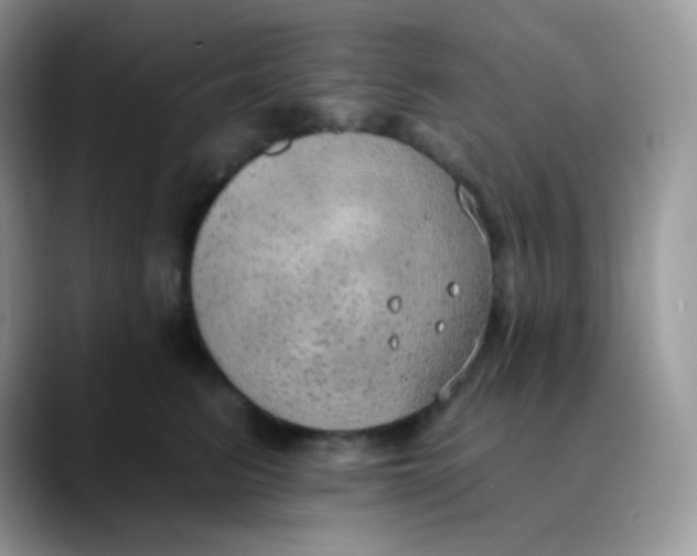 X0000089860615200707191921