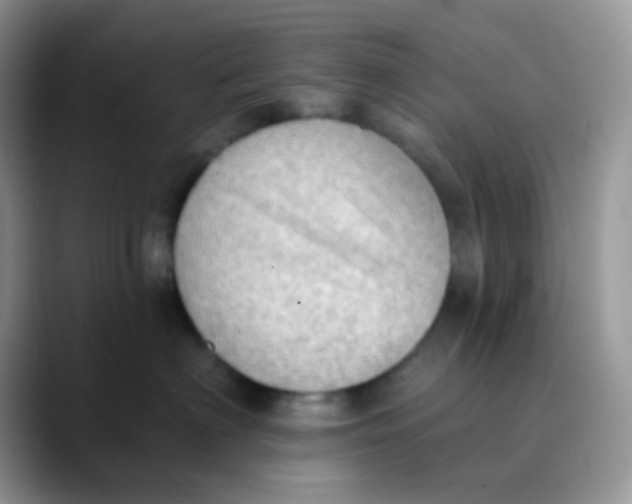 X0000089860622200707191921