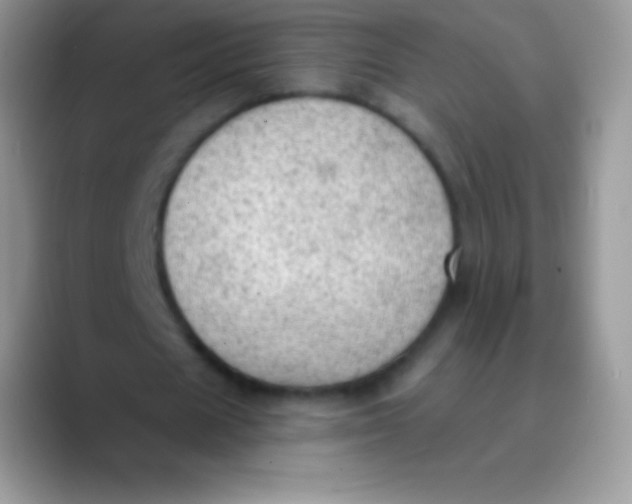 X0000089860625200707191921