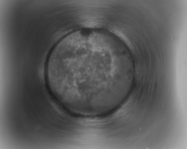 X0000089860626200707191921