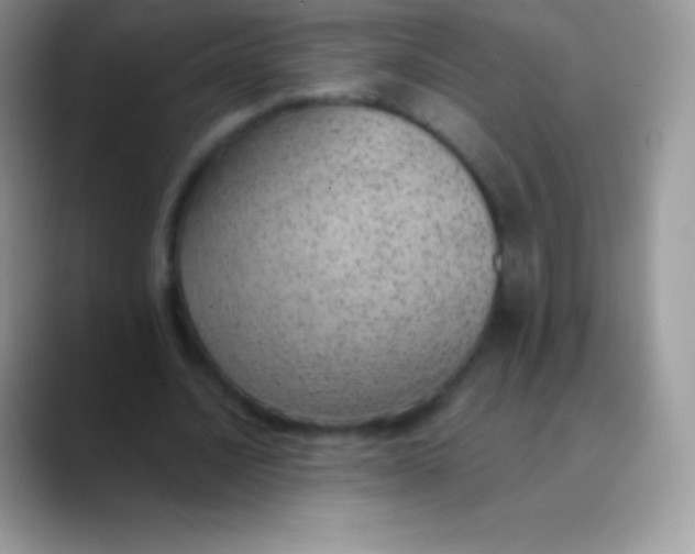 X0000089860628200707191921