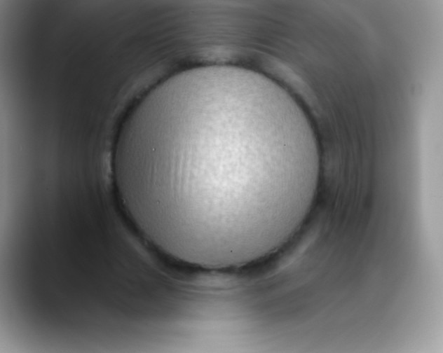 X0000089860633200707191921