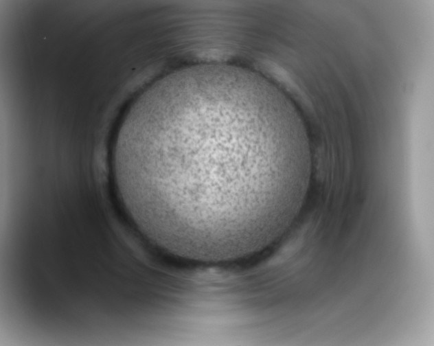 X0000089860634200707191921