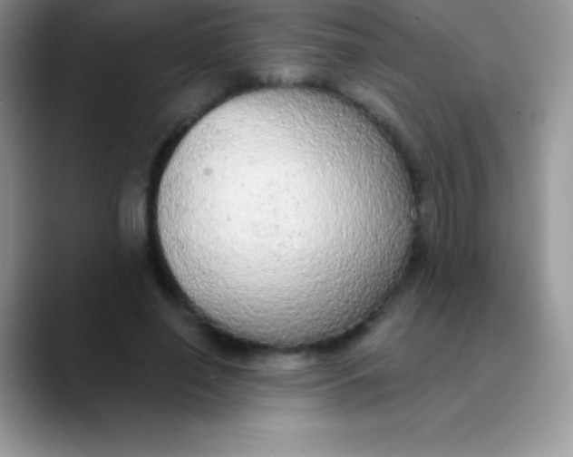 X0000089860638200707191921