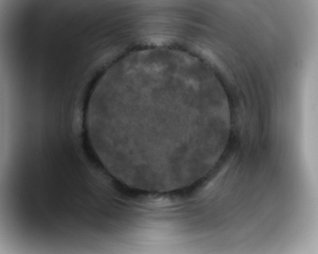 X0000089860640200707191921