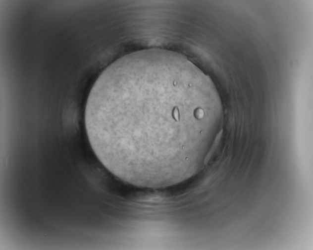 X0000089860643200707191921