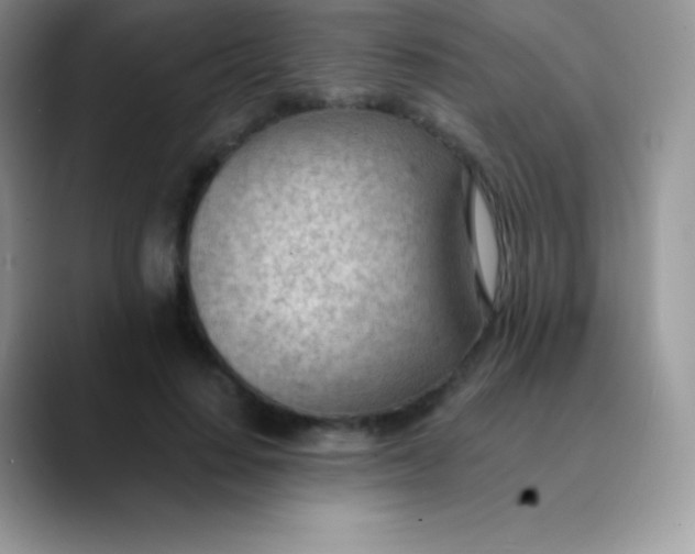 X0000089860644200707191921