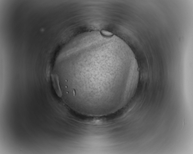 X0000089860647200707191921