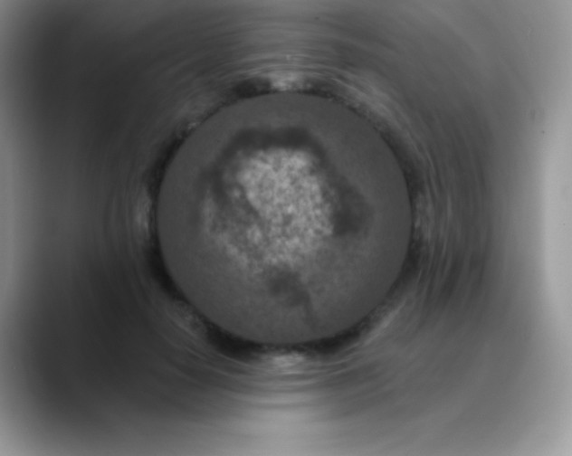 X0000089860650200707191921