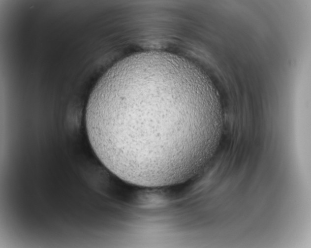 X0000089860652200707191921