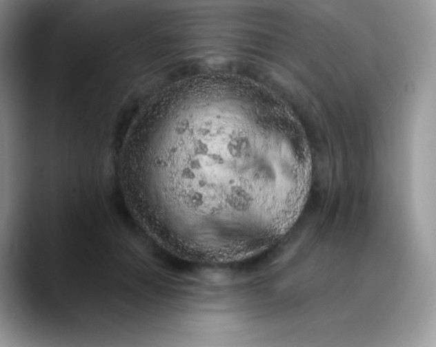 X0000089860654200707191921