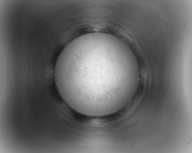 X0000089860657200707191921