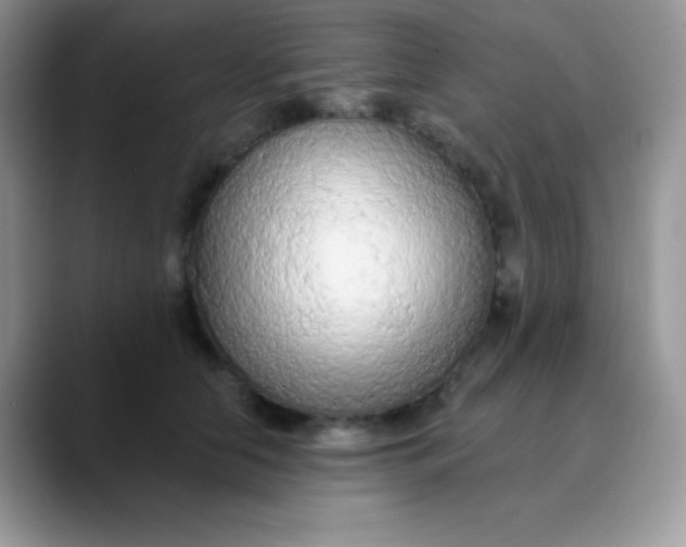 X0000089860658200707191921