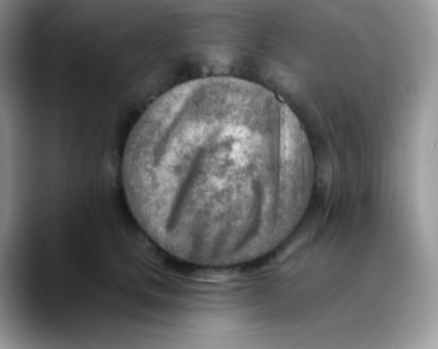 X0000089860661200707191921